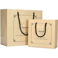 costom craft luxury paper bag with oem design