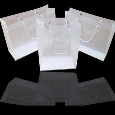 Plastic Bag OEM Custom PVC PP Printed Plastic Shopping Bag